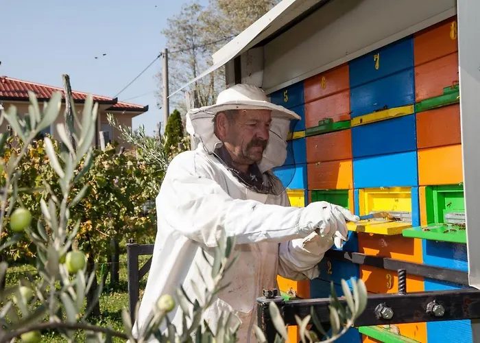 Apartment Mega Prvacina